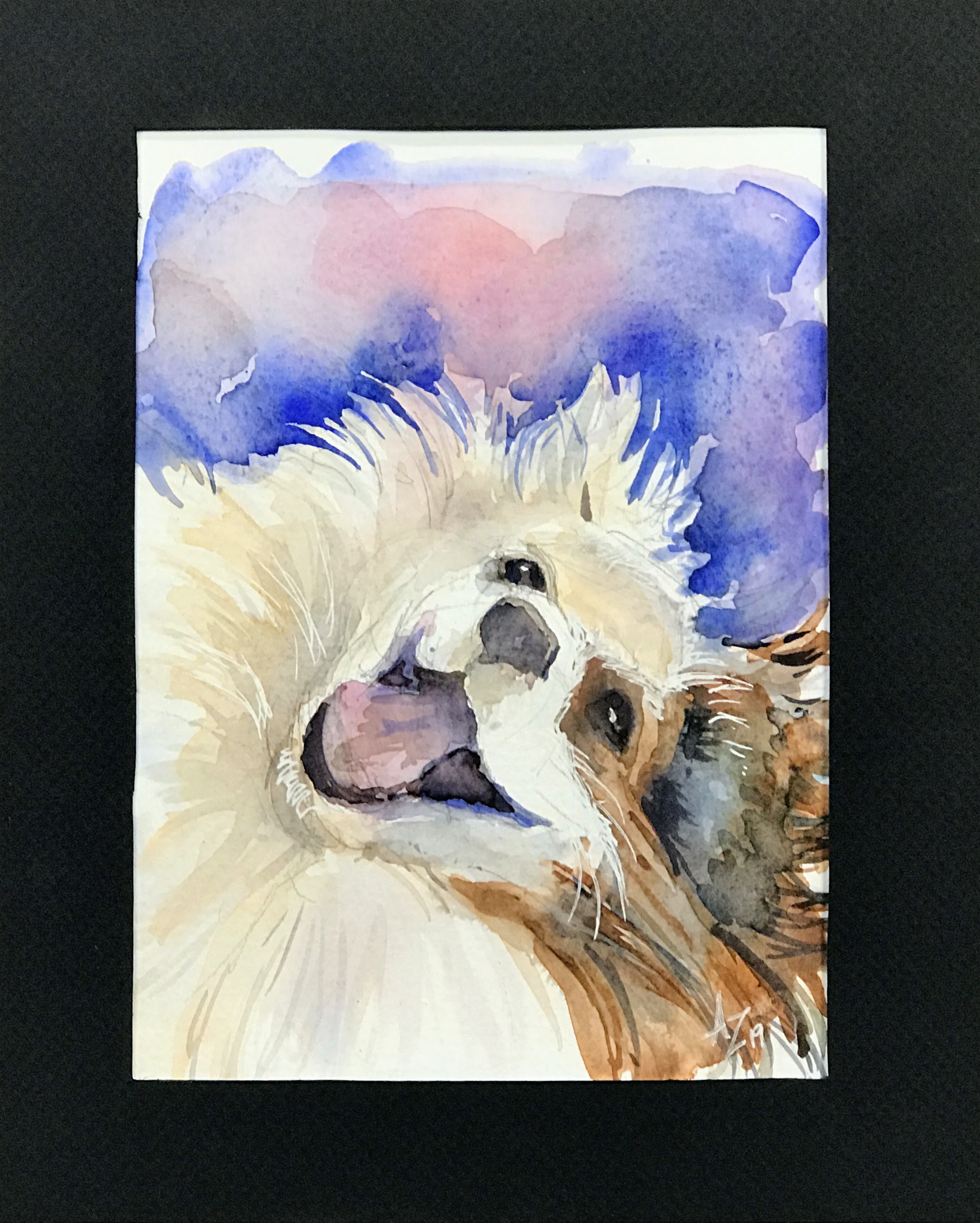 watercolor dog portrait